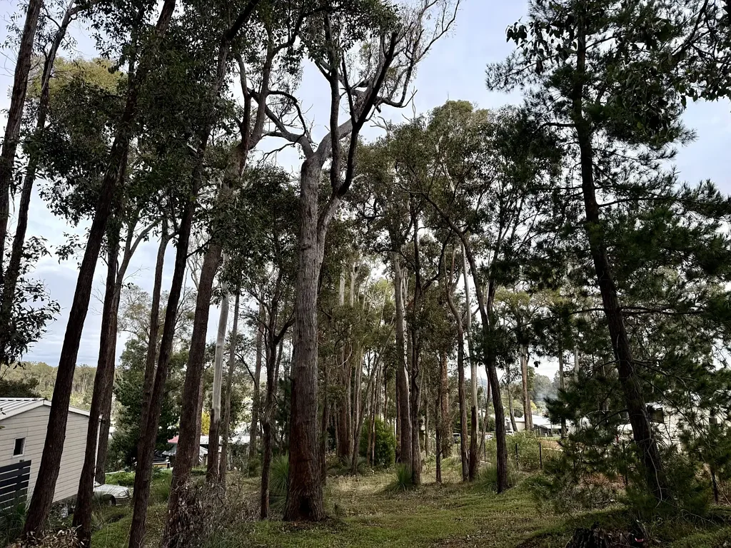 Donnybrook Experience the allure of a tree change!