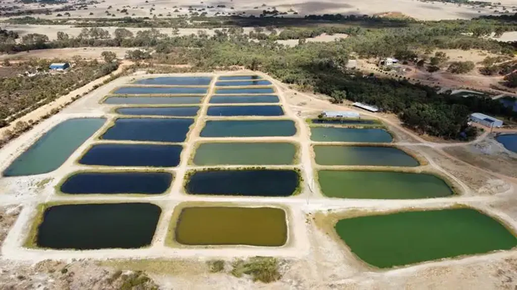 Jurien Bay 4房  RURAL LIVING including an ESTABLISHED FISH FARM
