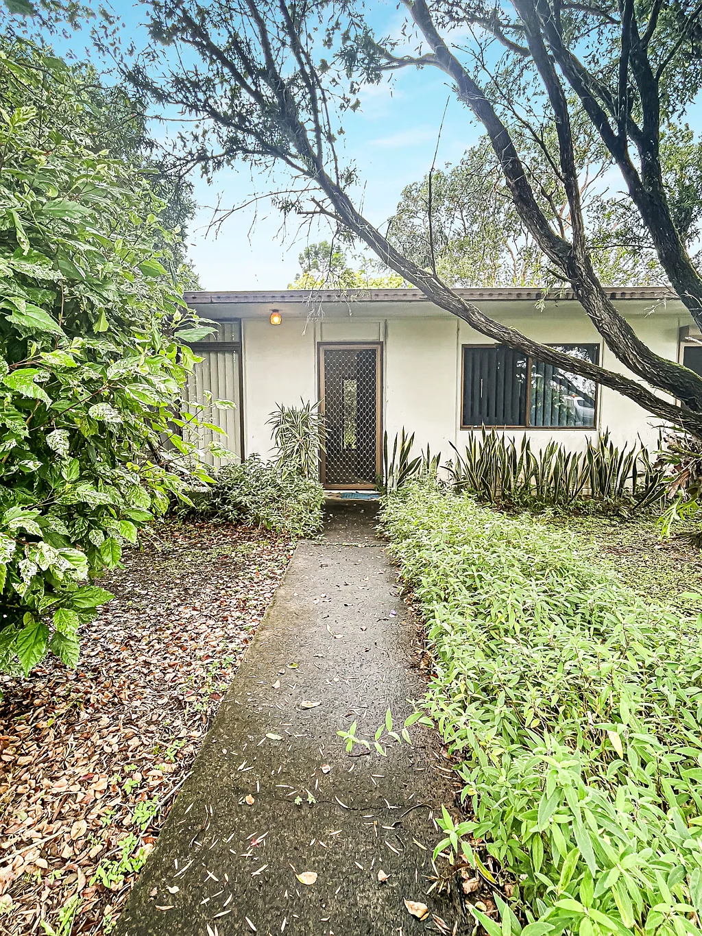 312 Summerland Way, Kyogle, NSW 2474