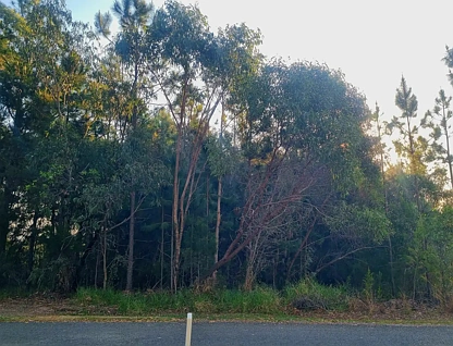 19 Piccaninny St, Macleay Island, QLD 4184, 0 ਕਮਰੇ, 0 ਬਾਥਰੂਮ, Section