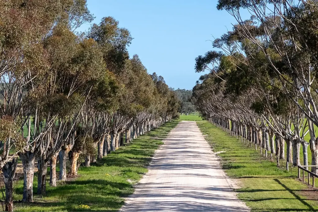 Hartley  10 Hectares of Prime Arable Land – Productive, Picturesque & Ready for Your Dream Home