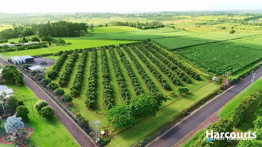 Childers INCOME PRODUCING AVOCADO ORCHARD 4.57 ACRES