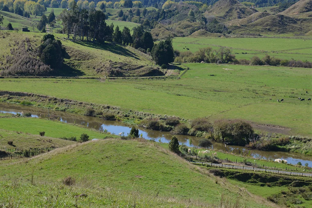 Mokau River retreat