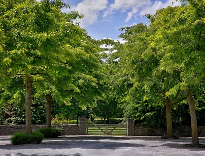 8/188 Domain Road, Dalefield/Wakatipu Basin, Queenstown, 0 habitaciones, 0 baños, Lifestyle Section