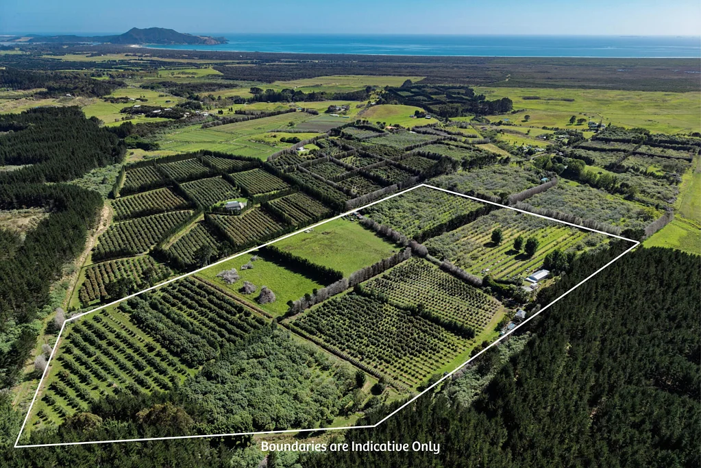 Awanui 3 Bedroom LIFESTYLE WITH MULTIPLE INCOME OPTIONS