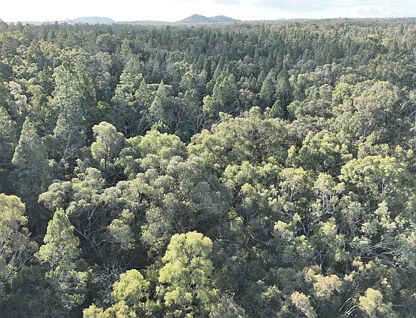LOT 19 Homely Drive, Coonabarabran, North West, 0 rūma, 0 rūma horoi, Section