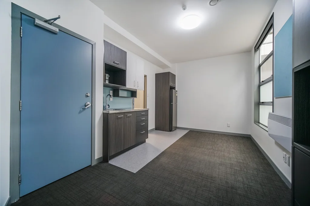 Renovated Modern Studio Apartment Eden Terrace