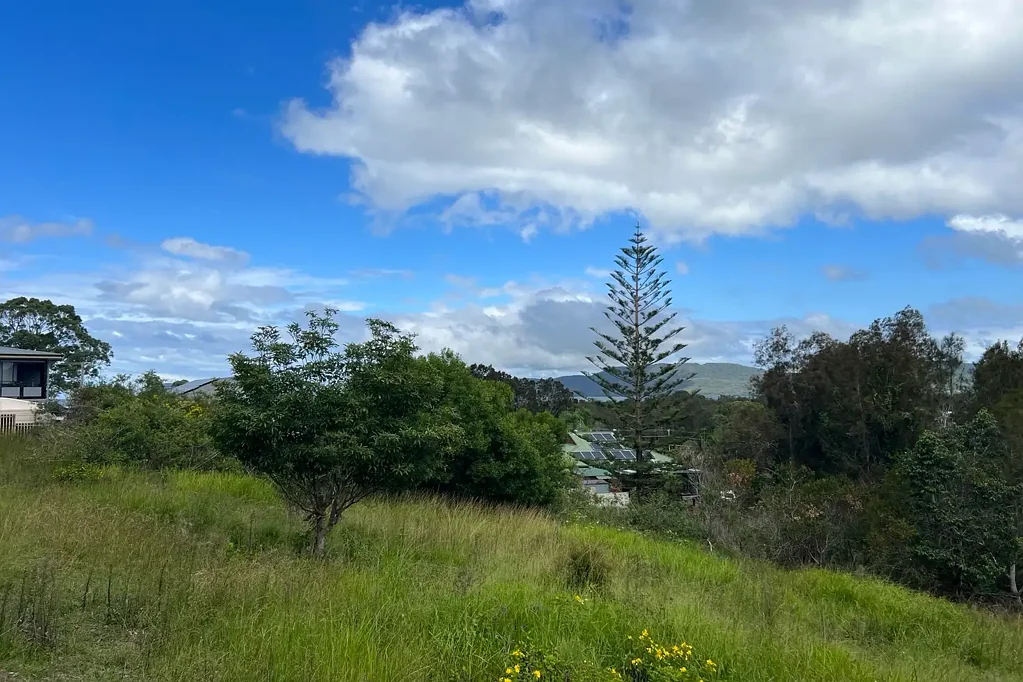 Coomba Park Boundless Opportunity
