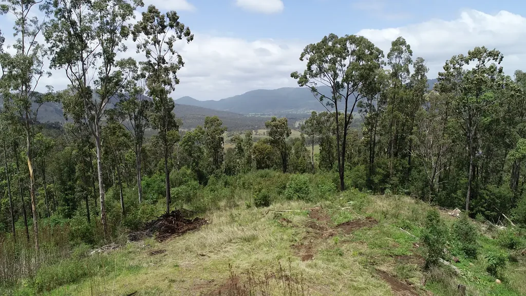 Mount George Impressive lifestyle block with tremendous views!