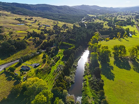 Dargaville Surrounds  Ahikiwi Orchard – Your Hands-On Haven