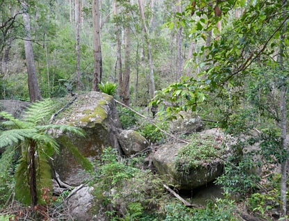 3447 Rocky River Road, Rocky River, Tamworth, 0 Kuwarto, 0 Banyo, Lifestyle Property