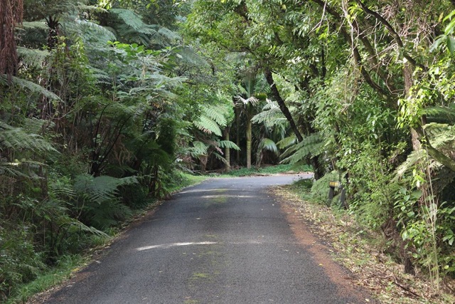 54 Glen Brook Road, Omiha, Auckland, 0部屋, 0バスルーム