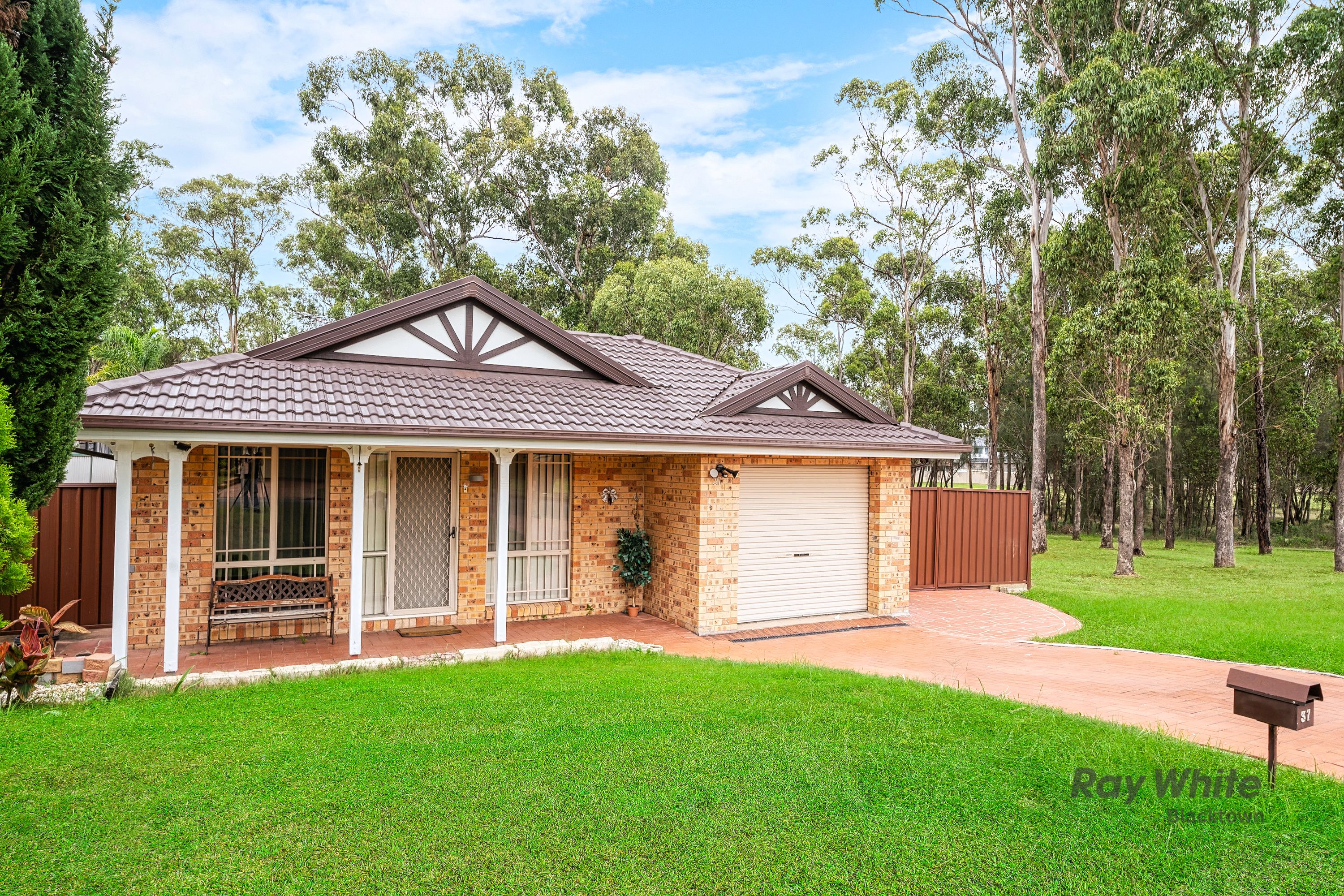 37 DRISCOLL AV, ROOTY HILL NSW 2766, 0房, 0浴, House