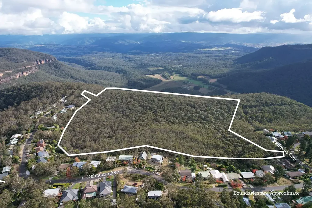 Medlow Bath Rare as Rocking Horse Shoes!