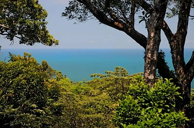 35 Kauri Close, Daintree, QLD 4873, 3 phòng ngủ, 1 phòng tắm, House
