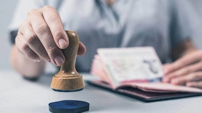 事实证明，新西兰移民局真想快的时候可以快到飞起