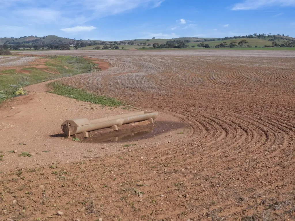 Neales Flat Reliable Cropping Country with Mains Water