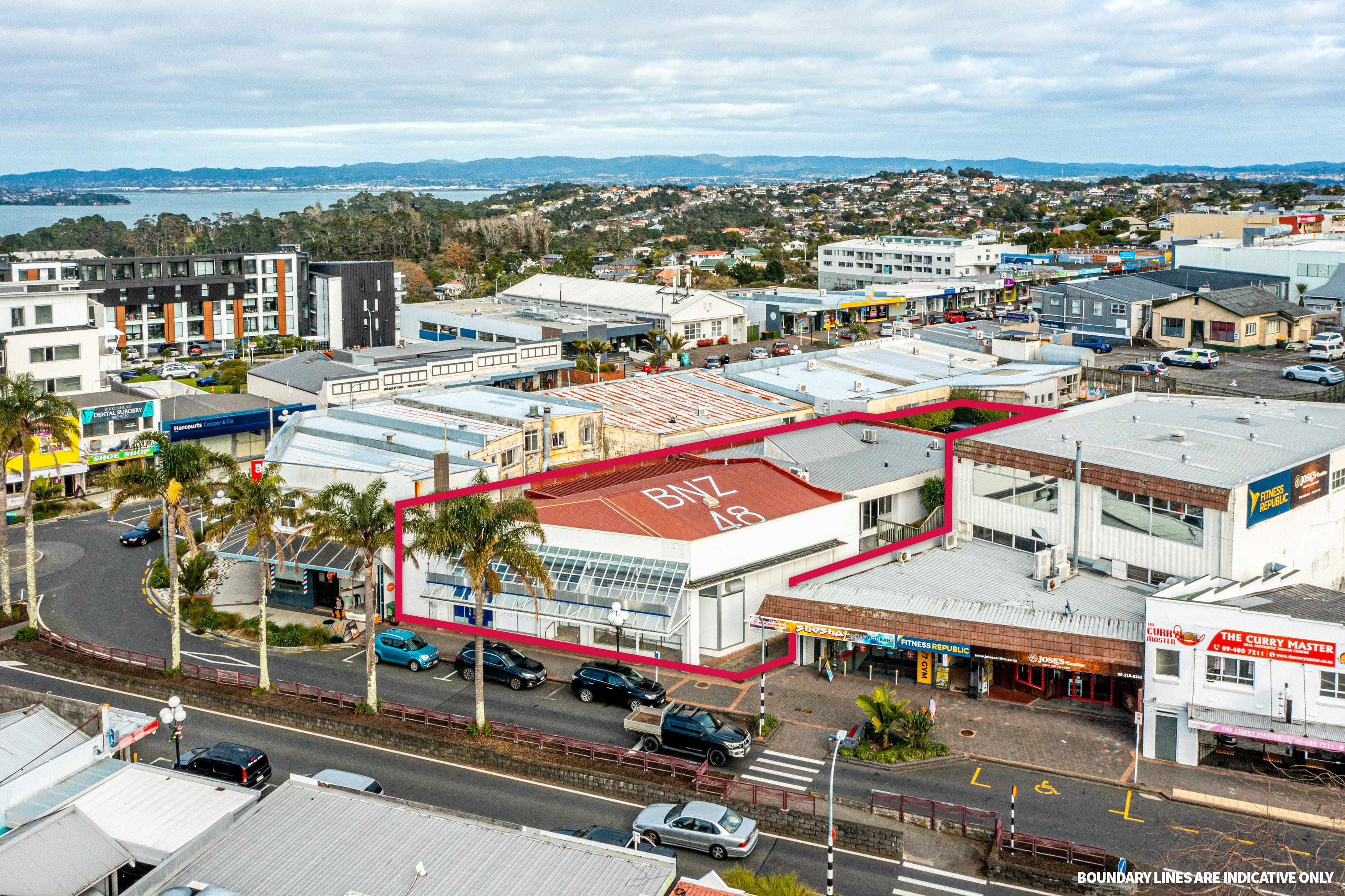 Business  Town Centre Zone