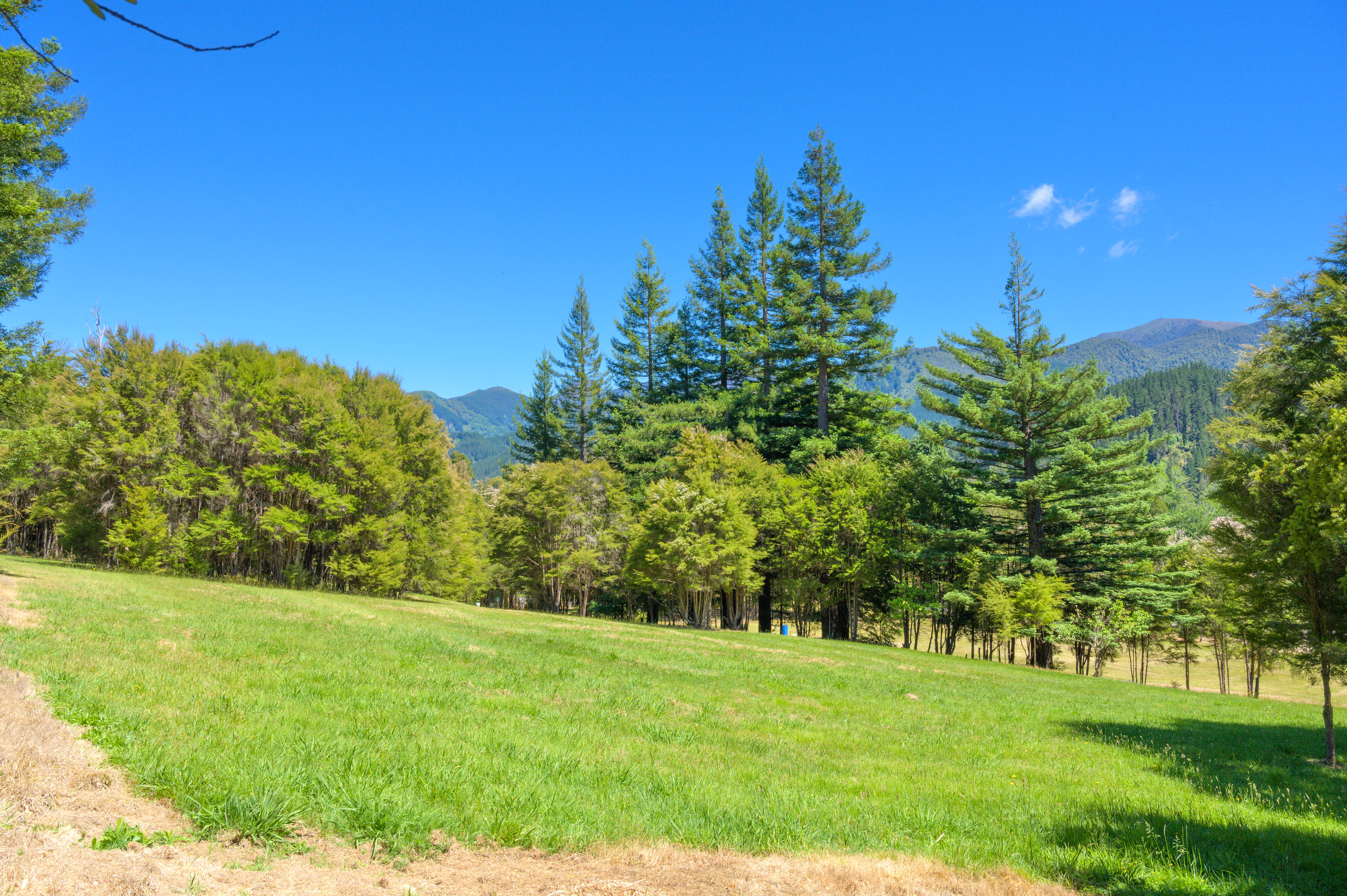 795 Motueka Valley Highway, Ngatimoti, Tasman, 0 Schlafzimmer, 0 Badezimmer, House