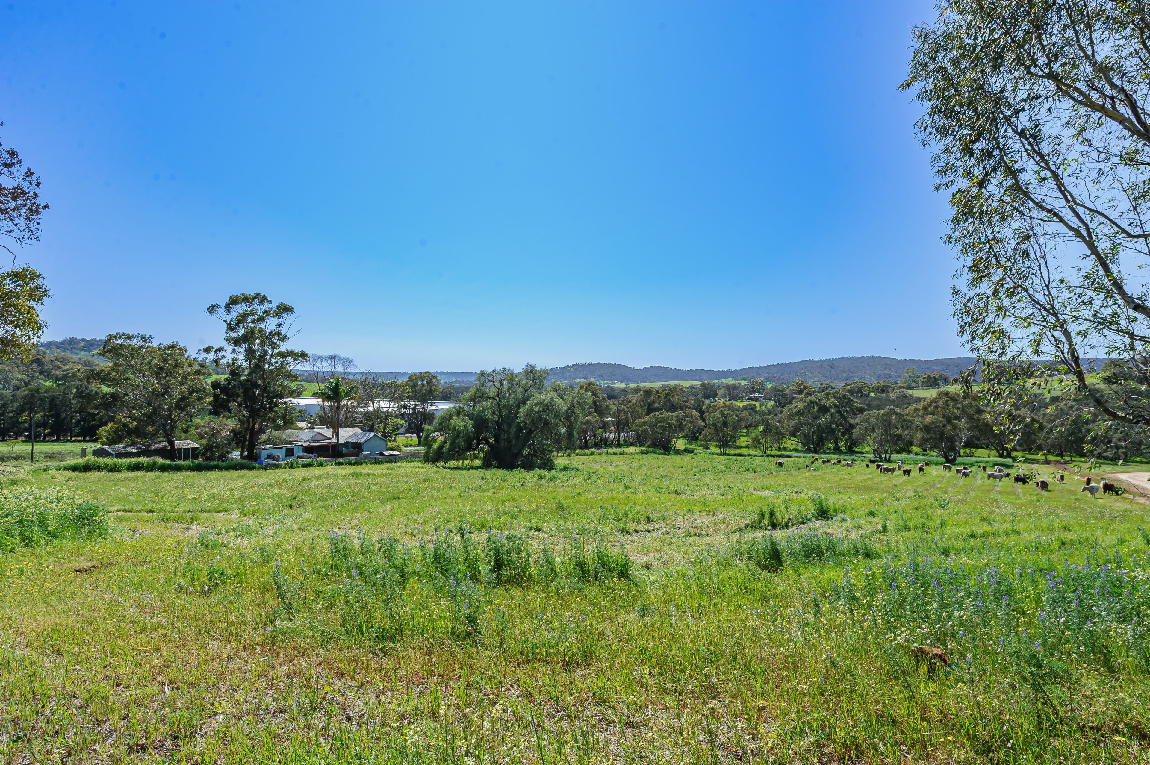 RURAL RESIDENTIAL