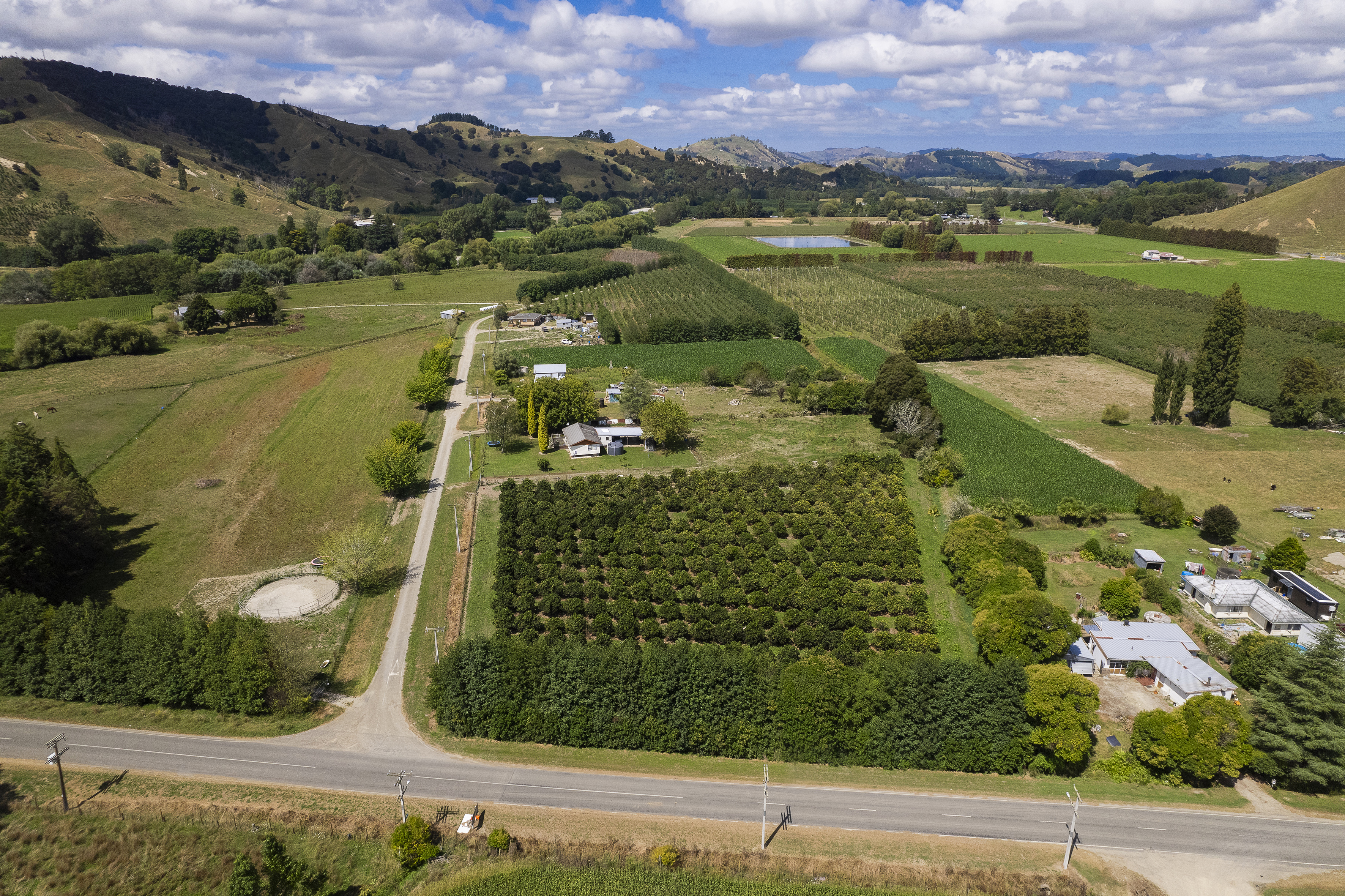 Paulson Road, Te Karaka, Gisborne, 0 rūma, 0 rūma horoi, Lifestyle Section