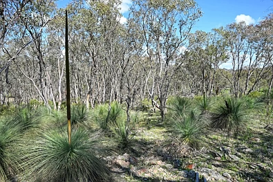 Address Withheld, Gulgong, NSW 2852, 0 Schlafzimmer, 0 Badezimmer, Lifestyle Property