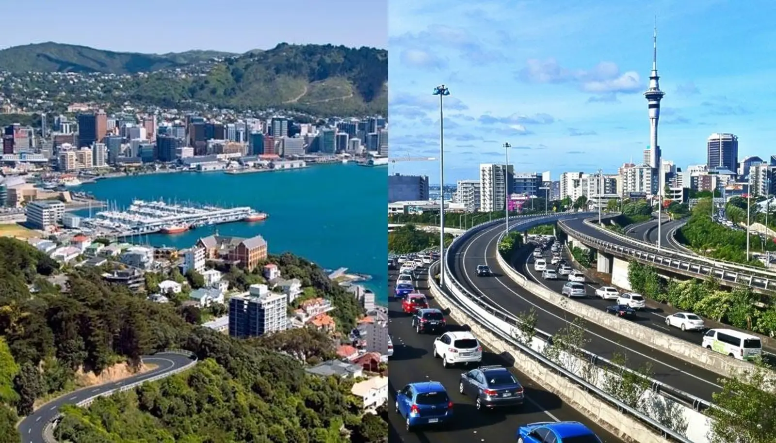 奥克兰VS惠灵顿!到底哪座城市的生活质量更高?!