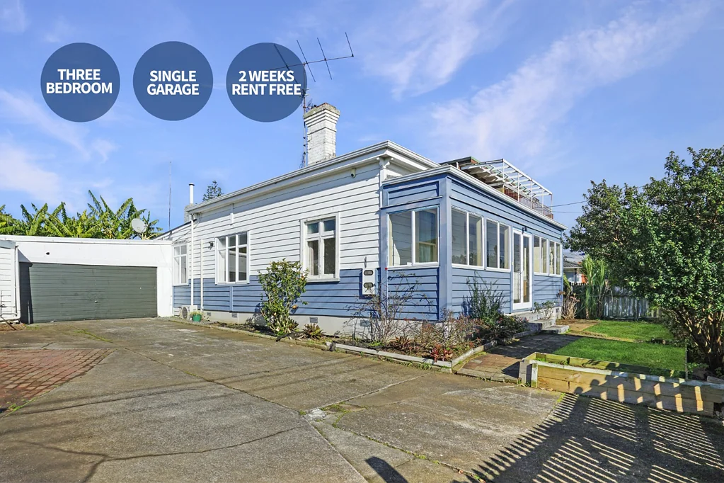 Central Auckland Location
