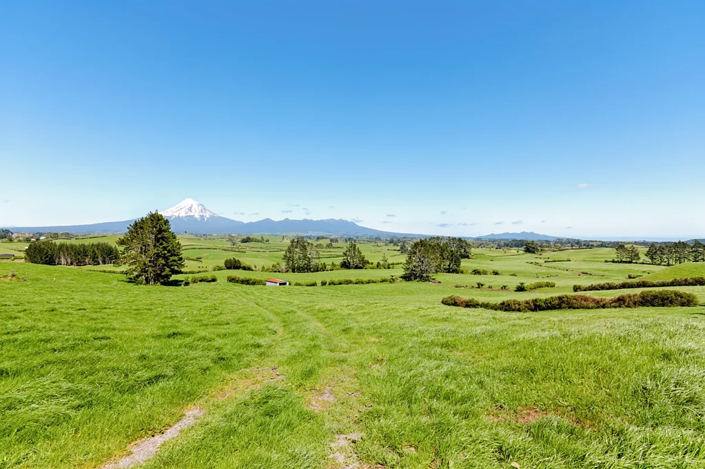 Inglewood 83ha Dairy Farm - Quality Farming - Handy Location