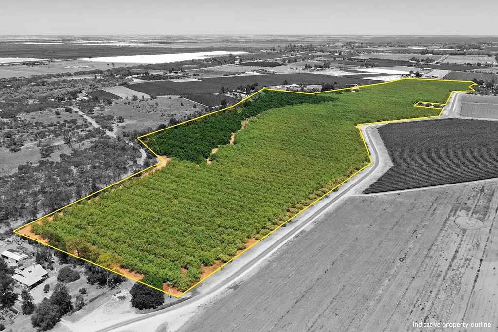 Red Cliffs  QUALITY ALMOND PROPERTY