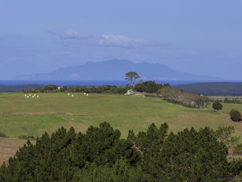 19 Cemetery Road, Maunu, Whangarei, 5 Kuwarto, 0 Banyo