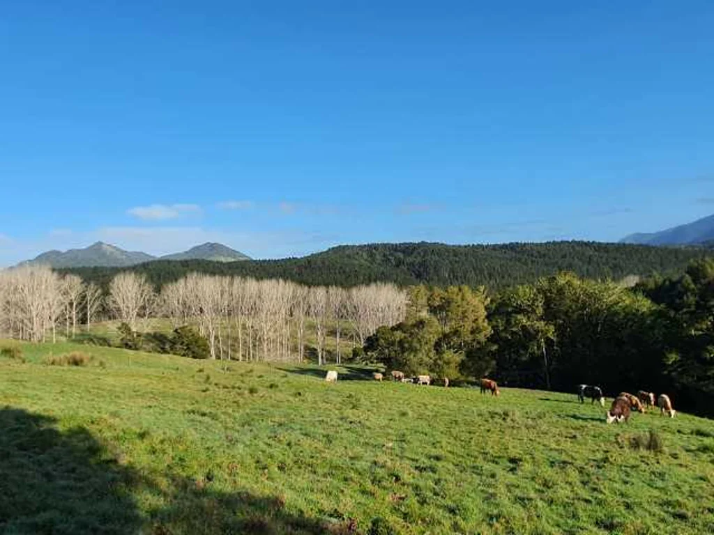 Whangarei Central 1ਬੈੱਡਰੂਮ Elegant Retreat Lodge and Organic Beef Farm