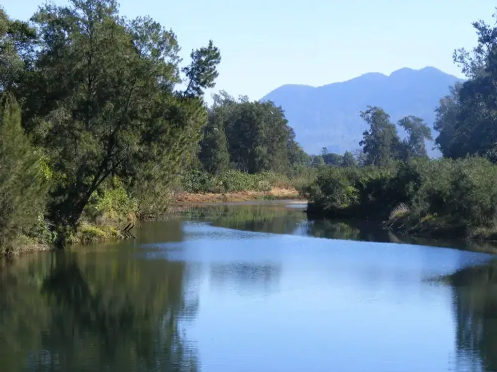 1041 South Arm Rd, Bellingen, NSW 2454