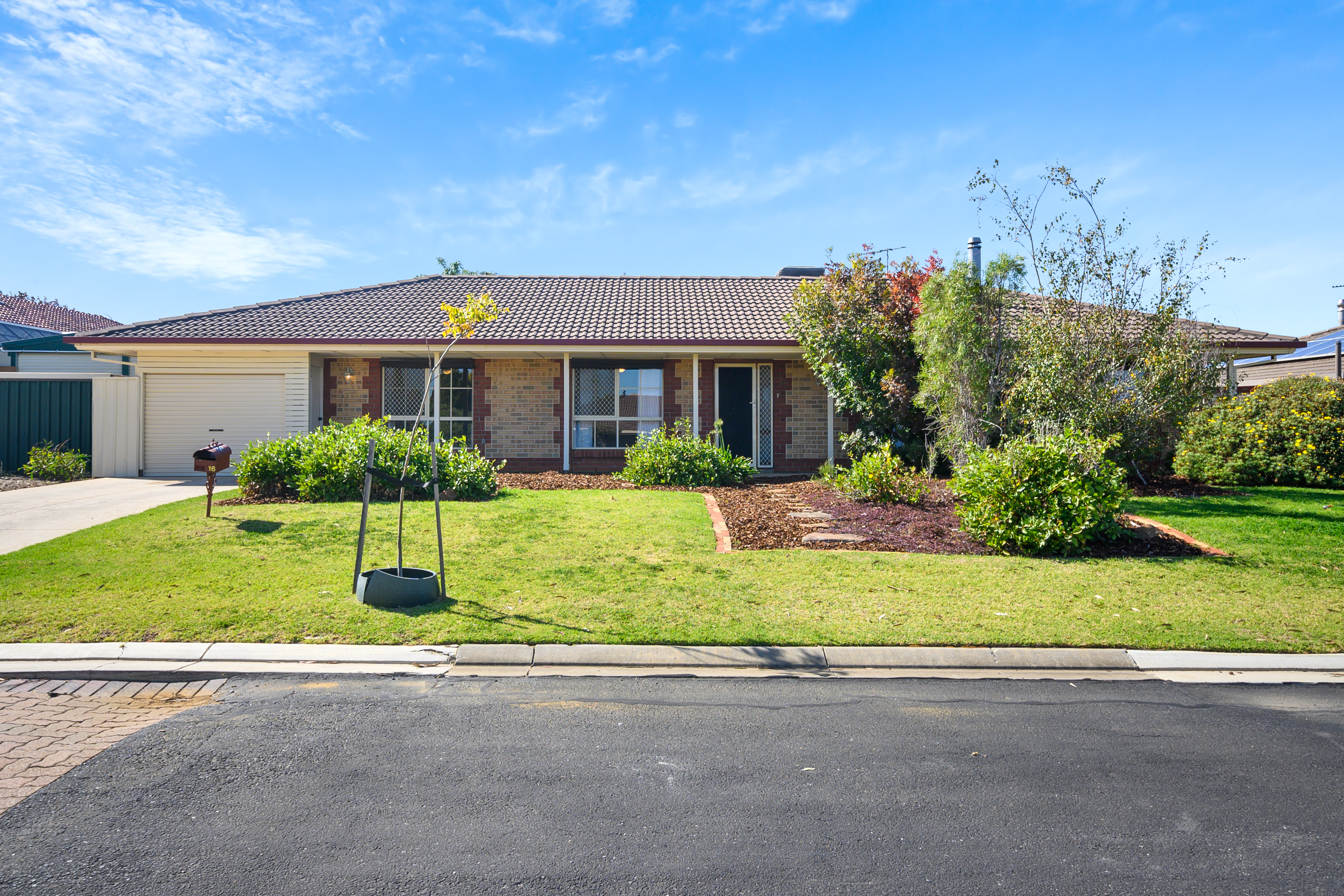 16 THAXTED CT, MORPHETT VALE SA 5162, 0房, 0浴, House