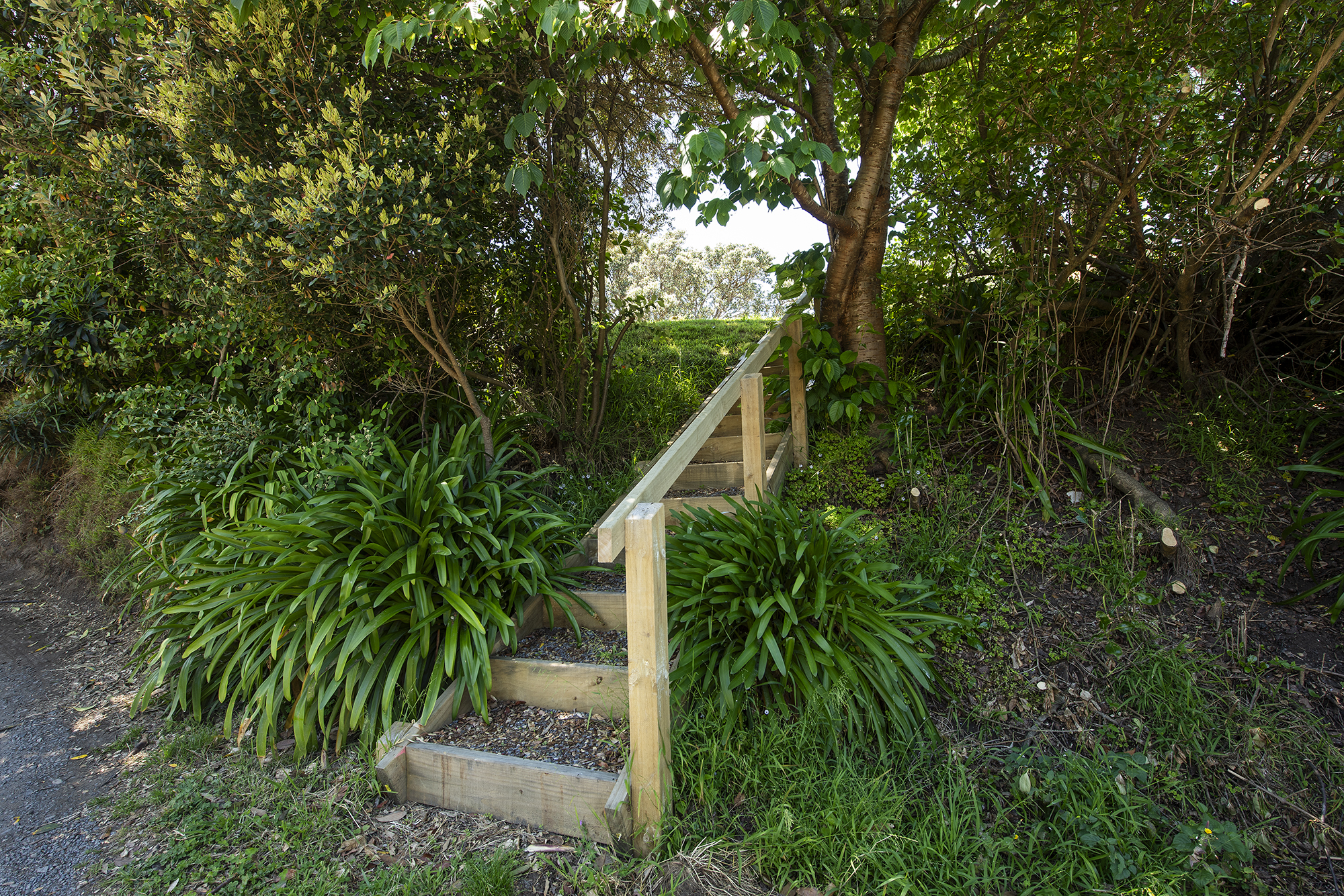 10 Kohutuhutu Road, Raumati Beach, Kapiti Coast, 0 habitaciones, 0 baños, Section