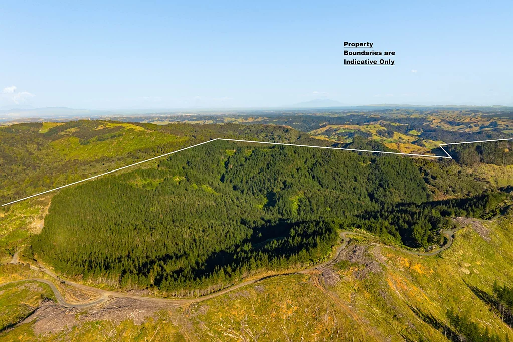 Warkworth 200ha on 6 Titles Land Holding In Warkworth