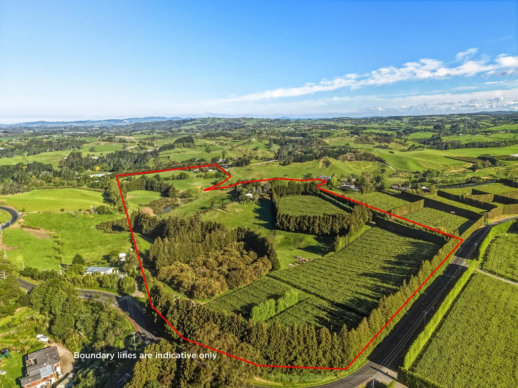 Whakamarama  Dual homes and kiwifruit income on 20 hectares