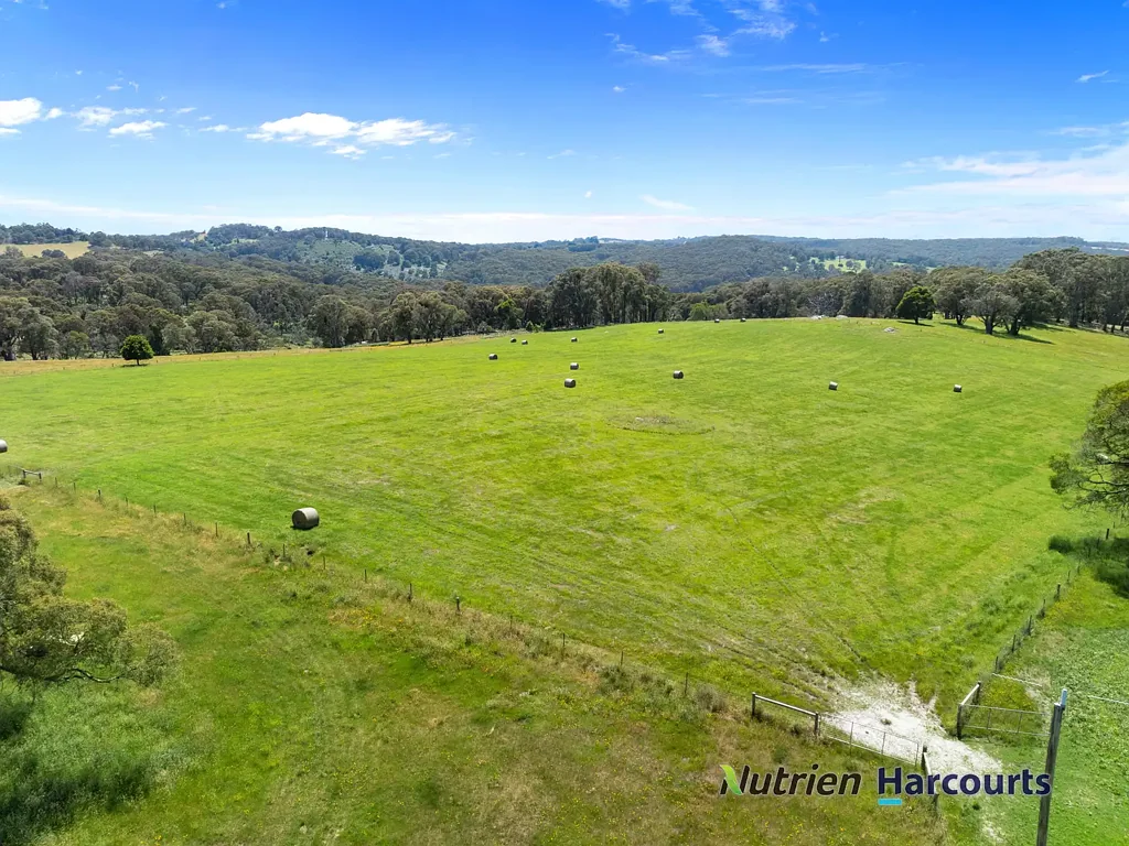 241 Chisholms Road, Highlands, VIC 3660