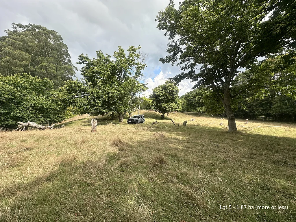 Ngongotaha TITLE IMMINENT - Lot 5: $550,000, Lot 6: $500,000