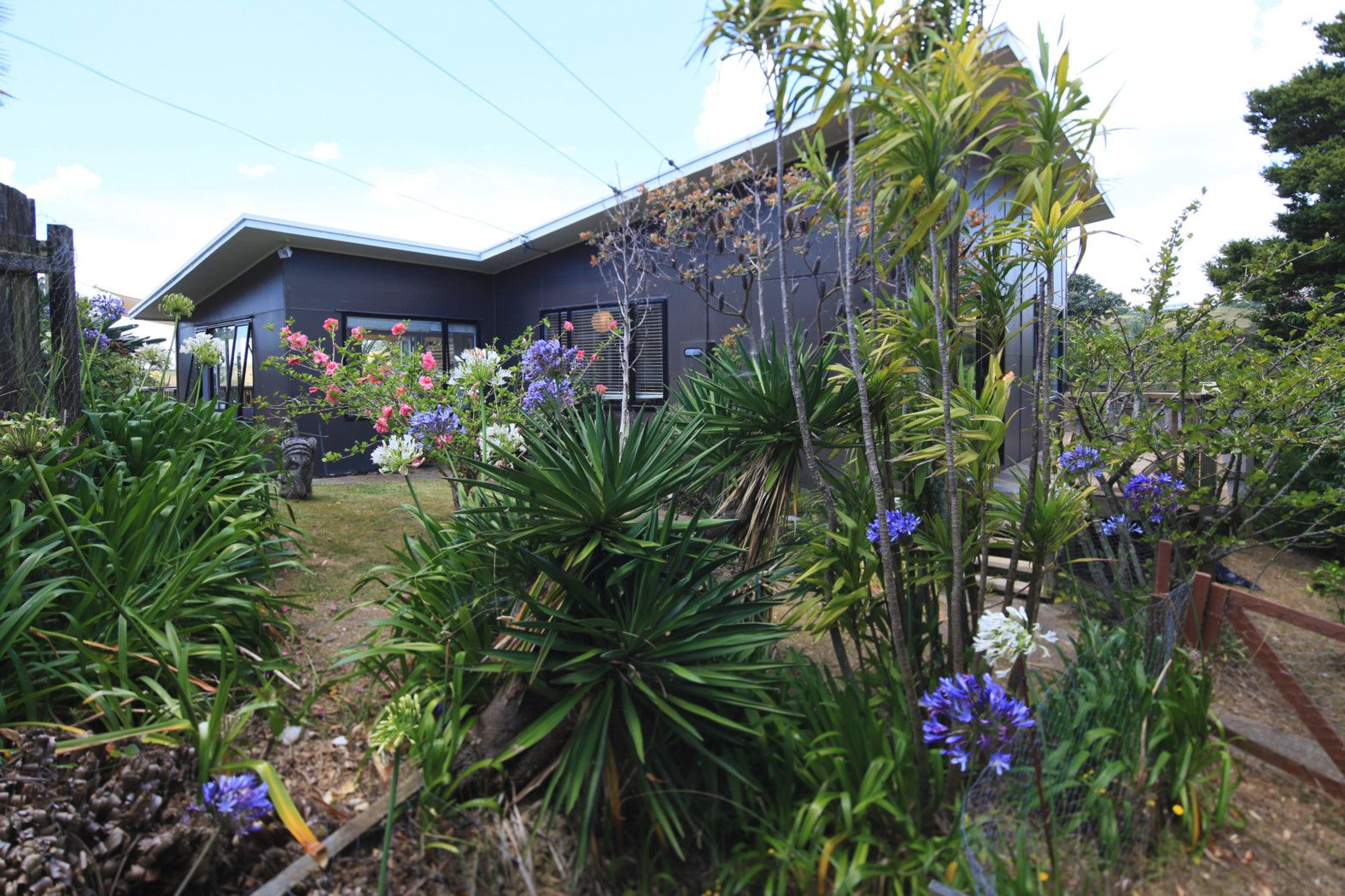 Hauraki Gulf Islands