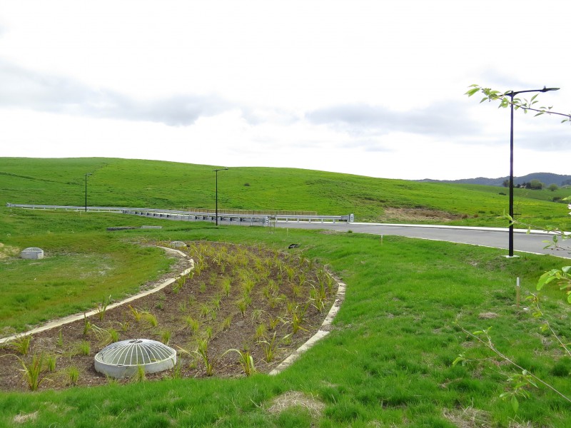 Matakana Valley Road, Big Omaha, Auckland - Rodney, 0 Kuwarto, 1 Banyo