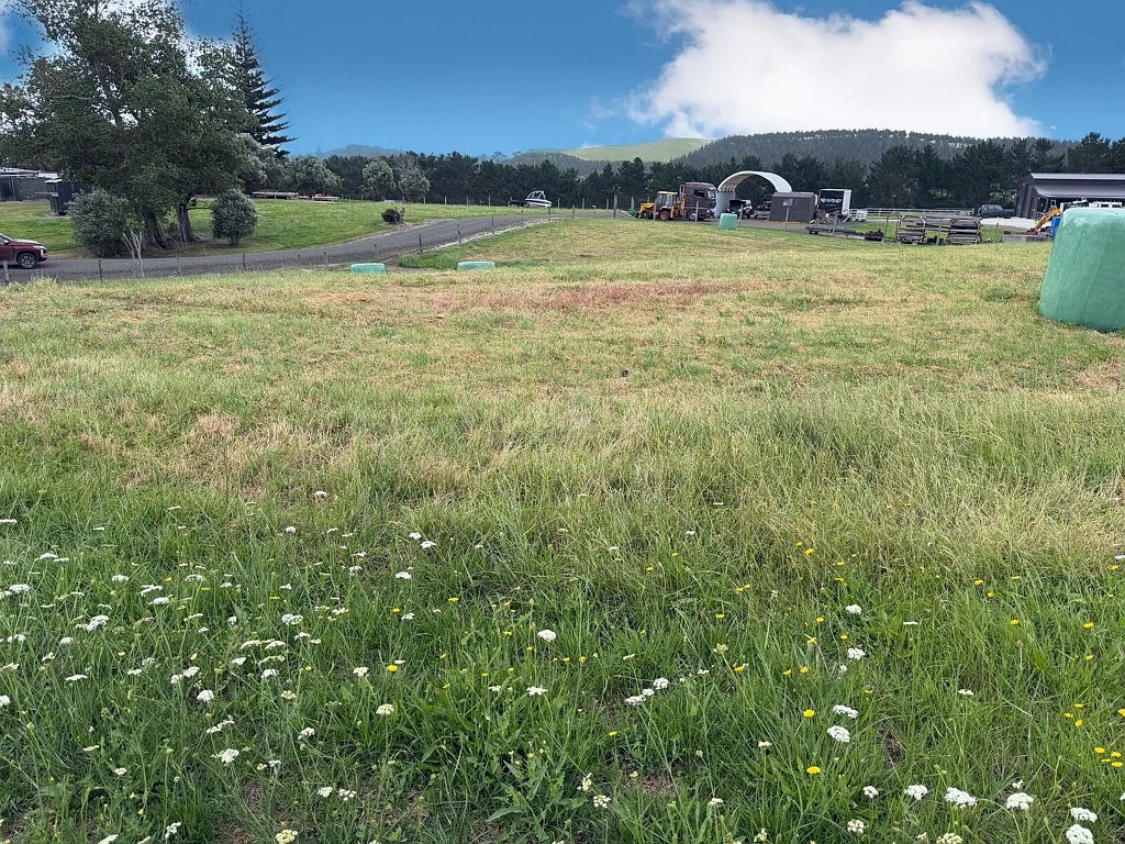 Dargaville Ready to Go - Section