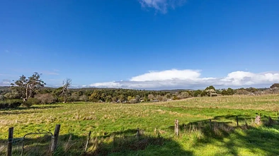 Linton  Price Reduced - Linton's Best Value Blocks