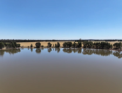 'Part Greendale' Mandamah Forest Road, Ariah Park, Riverina, 0 habitaciones, 0 baños, Lifestyle Property