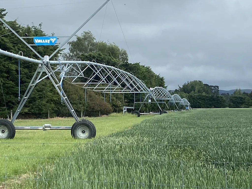 Mayfield Dairy support/arable/lamb finishing
