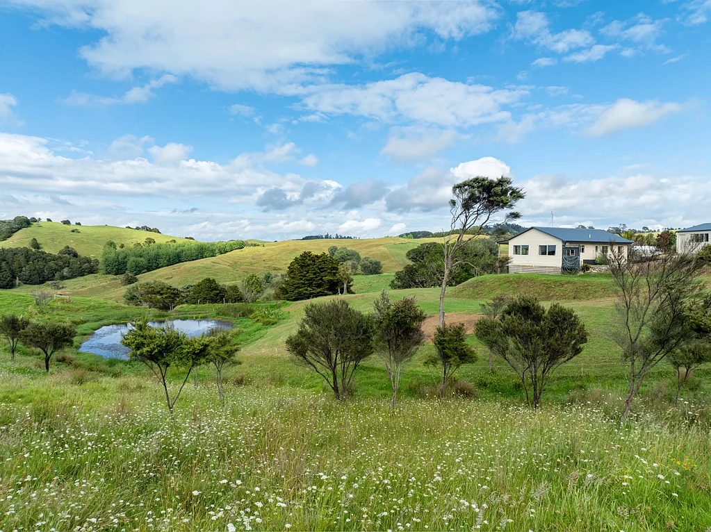 142 Heatley Road, Whakapirau, Kaipara, Northland