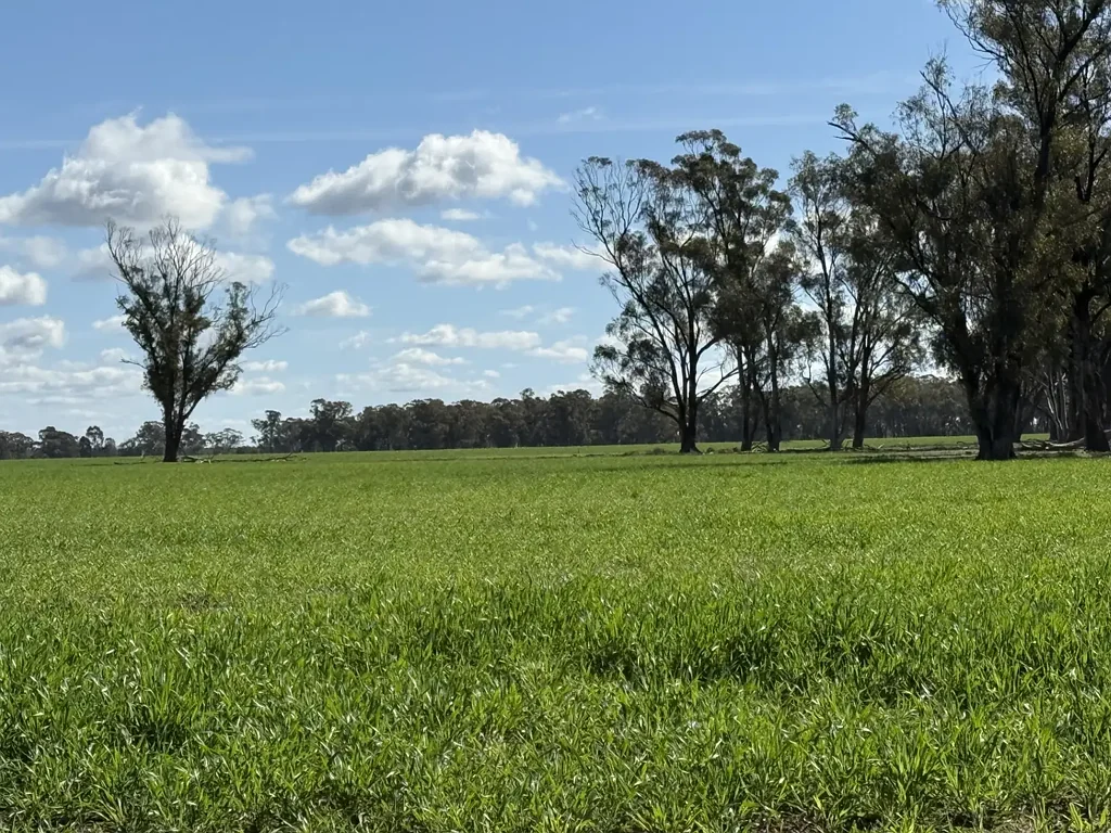 Parkes Exceptional Bore - so plenty of Water for a Feedlot