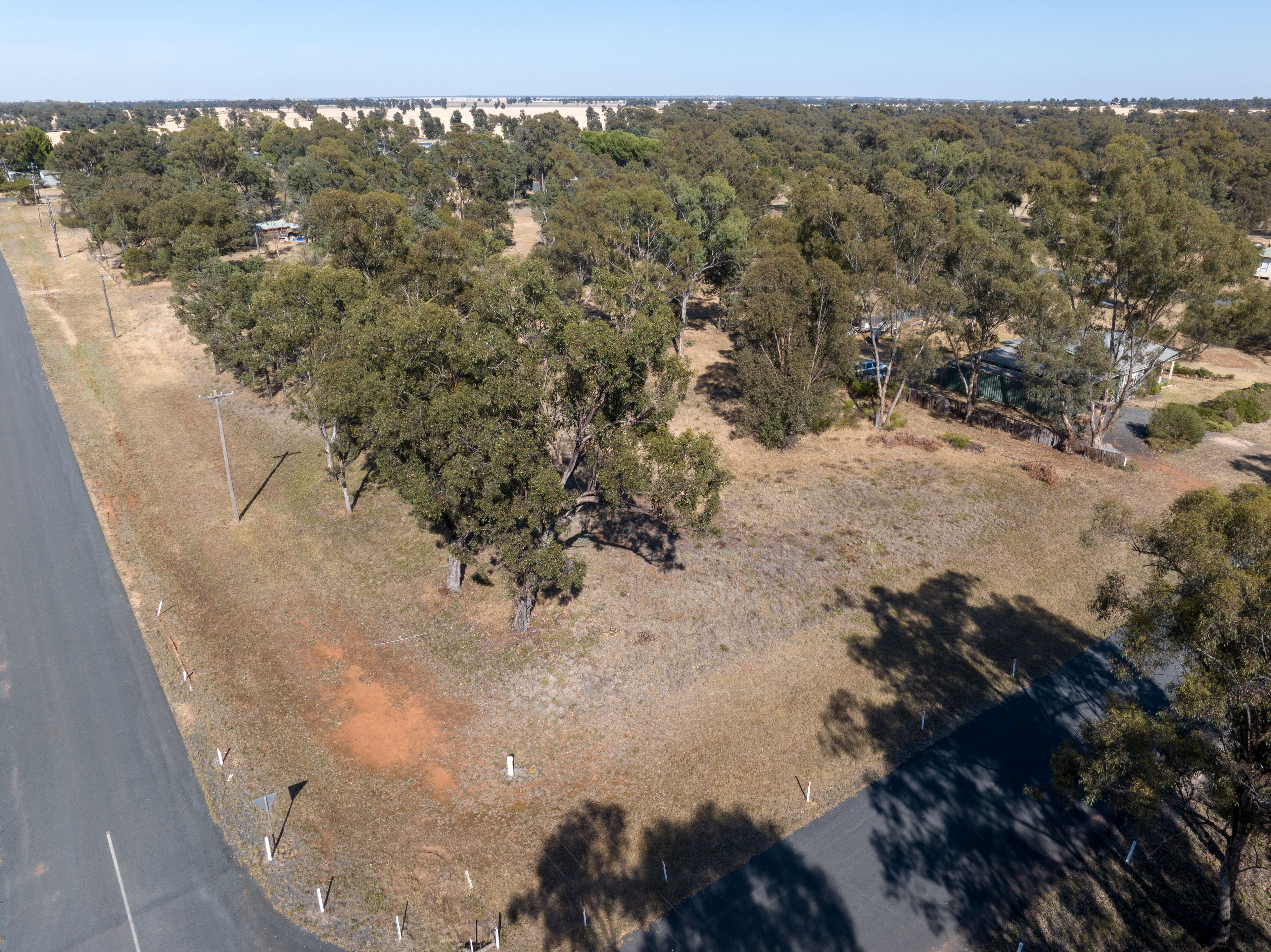 7 CLARENCE ST, BOREE CREEK NSW 2652, 0房, 0浴, Section