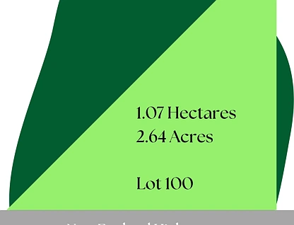 LOT 100 New England Highway, Scone, Hunter, 0部屋, 0バスルーム, Section