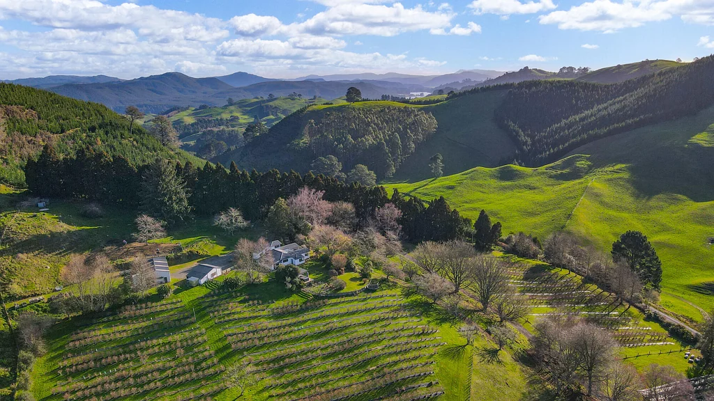 Waikite Valley An Iconic Lifestyle With a Berry Sweet Bonus
